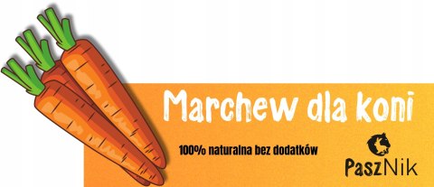 Smakołyki smaczki przysmak dla konia marchewka naturalna 1kg